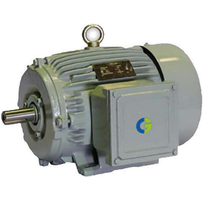 cg-induction-motor-500x500