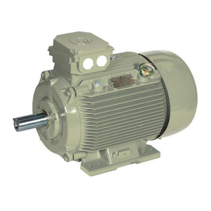 crompton-induction-motor-500x500