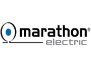 Marathon Motor